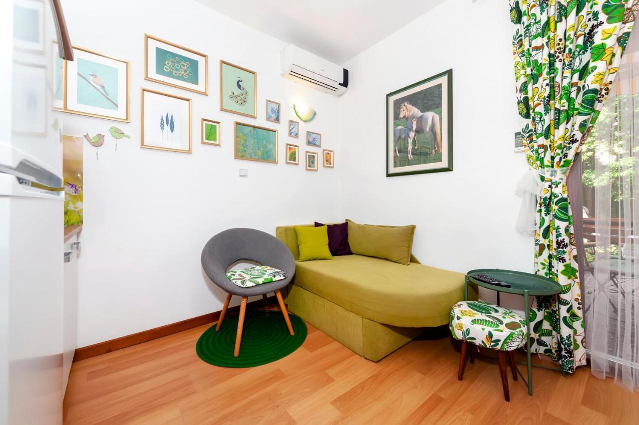 Apartments Aja And Stefy Ρόβινι Εξωτερικό φωτογραφία